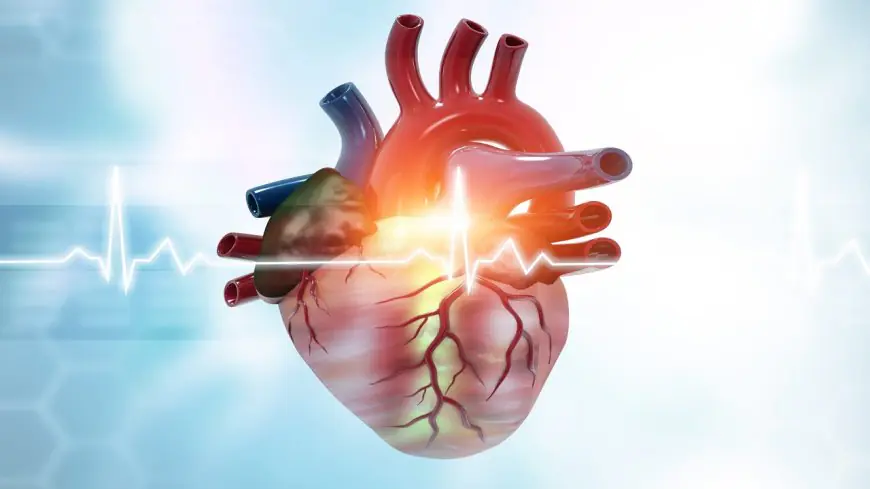 Cardiogenic Shock Treatment