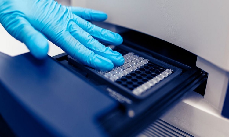 Digital PCR (dPCR) And qPCR